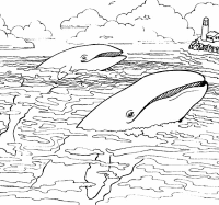 A coloring page of sea animal